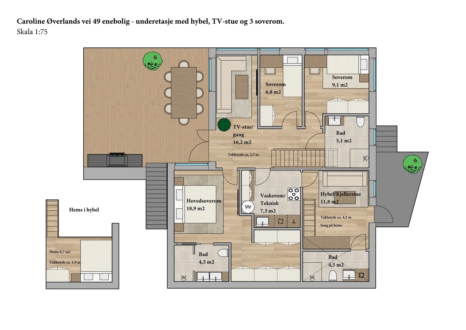Photo 11