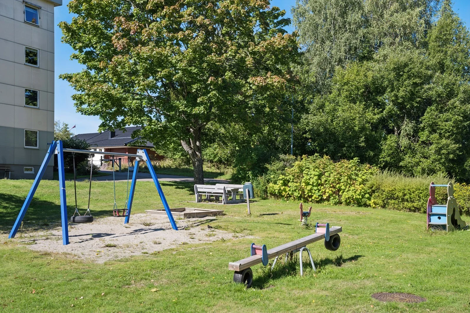 Photo 23