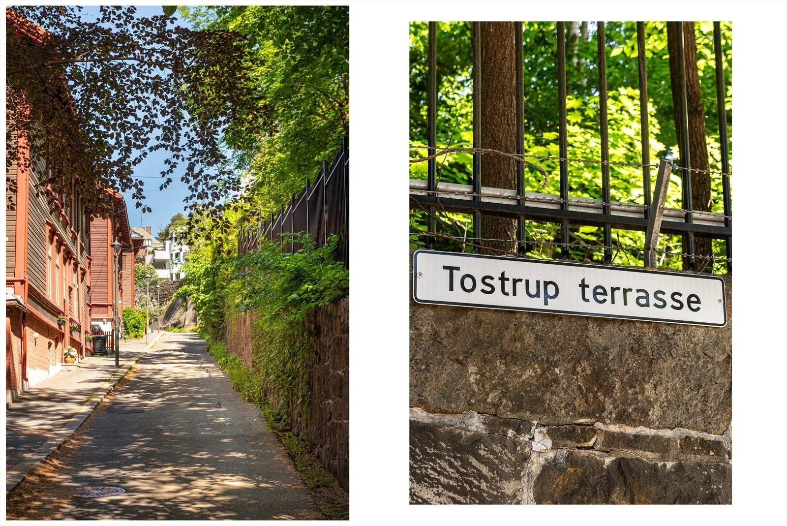 Photo 55