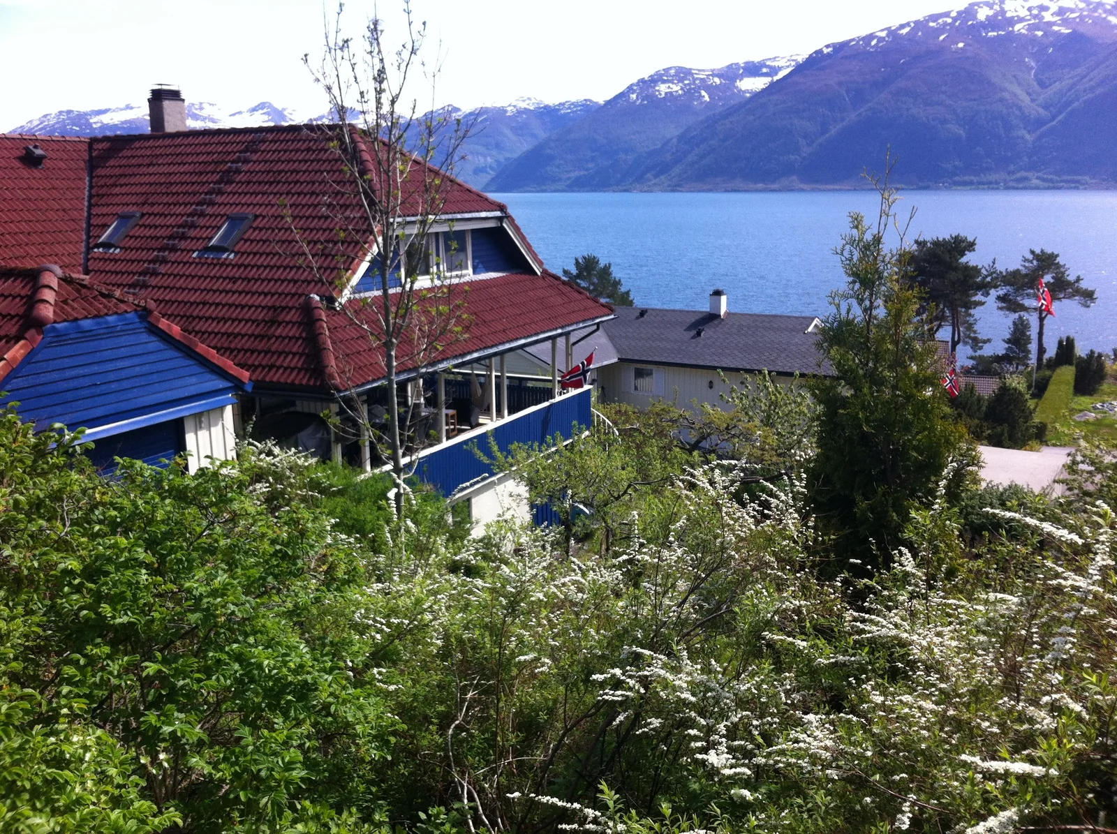 Photo 6