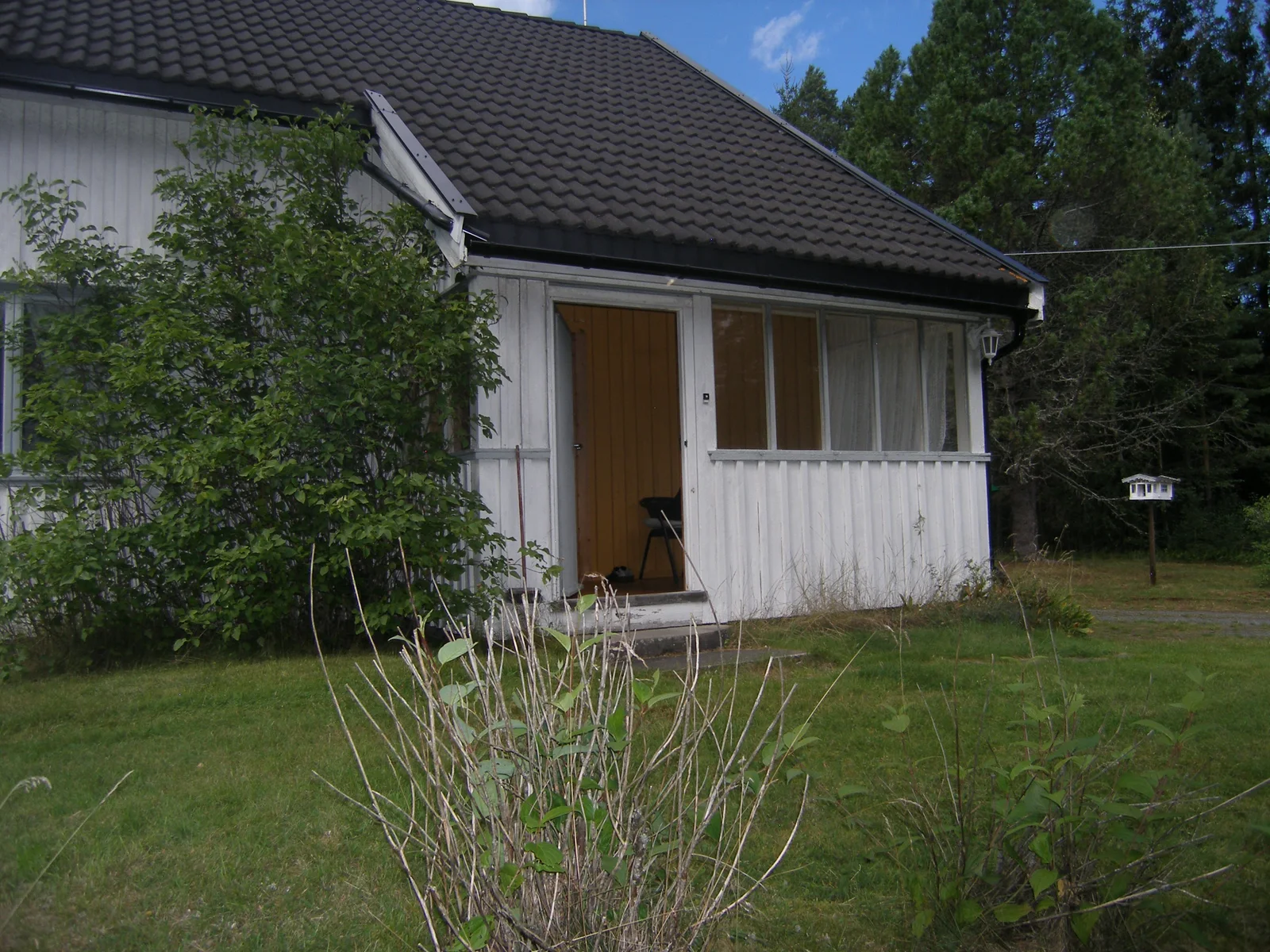 Photo 5