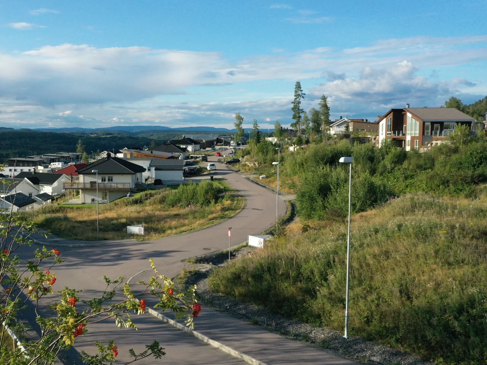 Photo 21