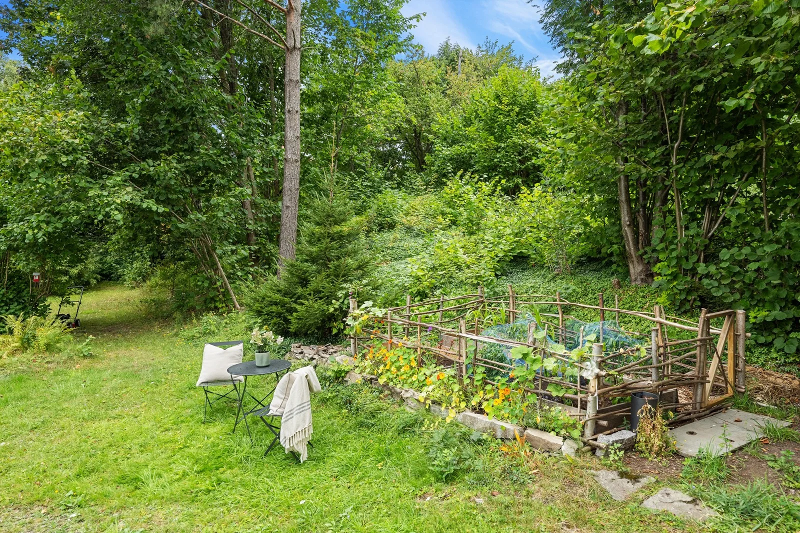 Photo 22