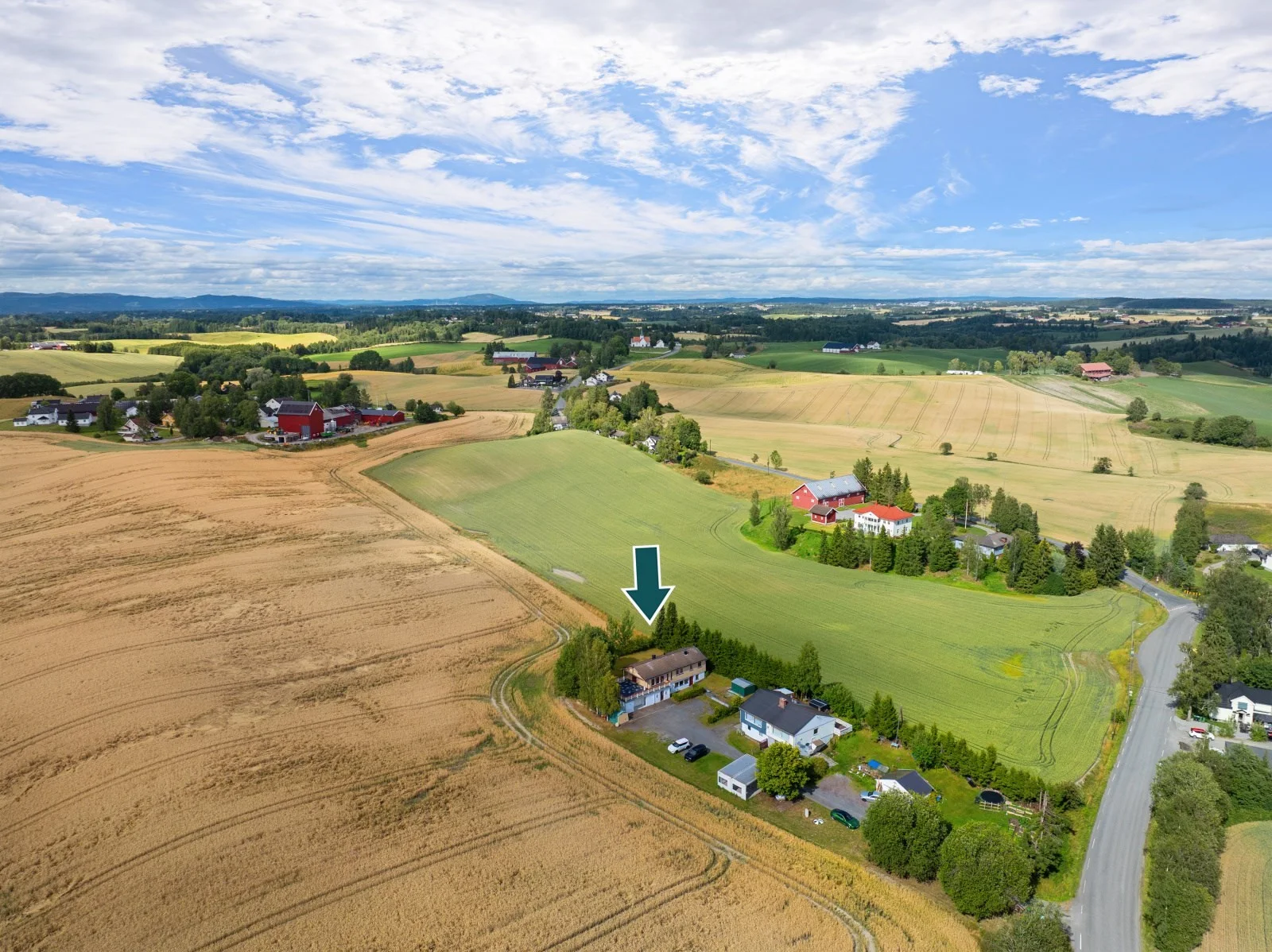 Photo 4