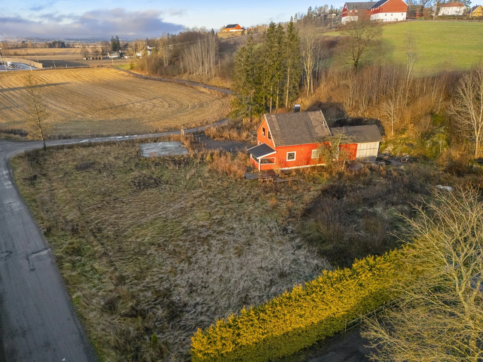 Photo 5