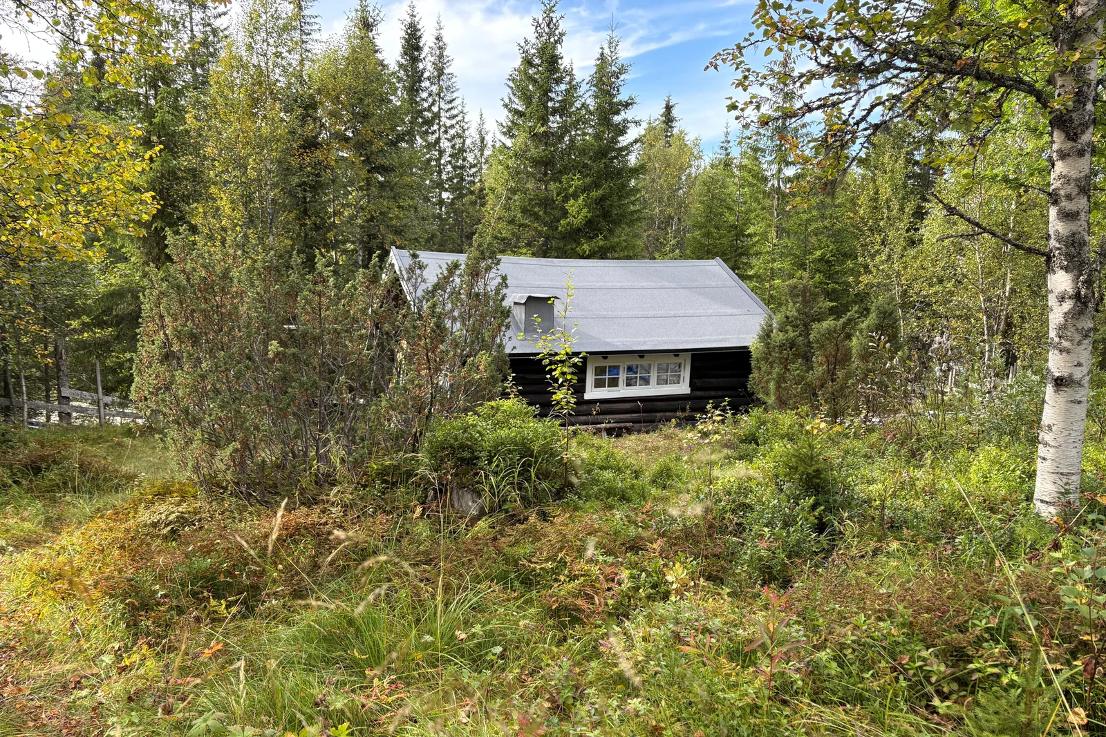 Photo 6