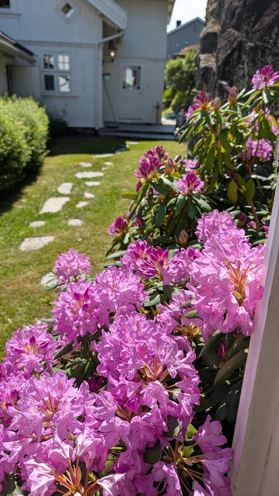 Photo 32