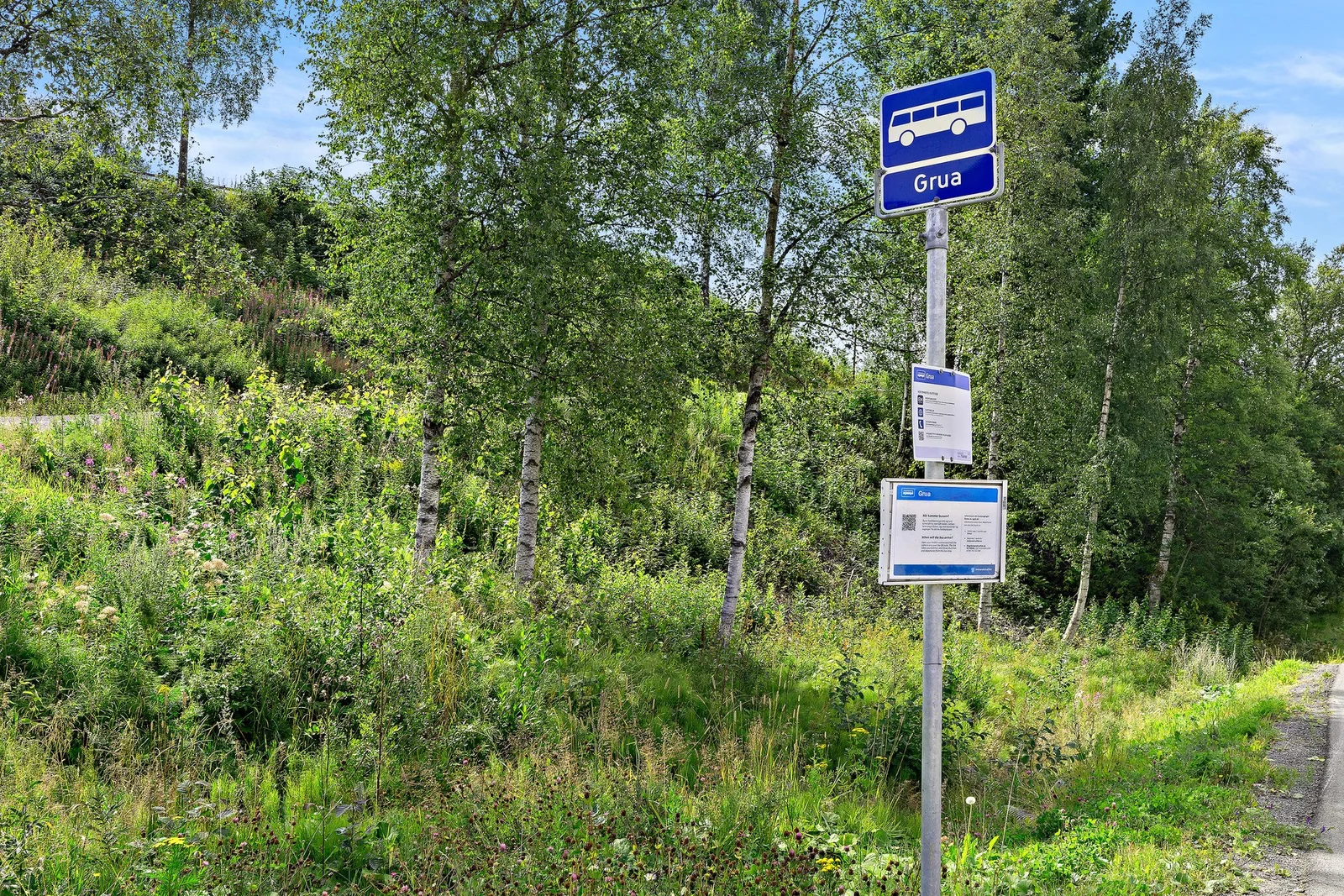 Photo 26