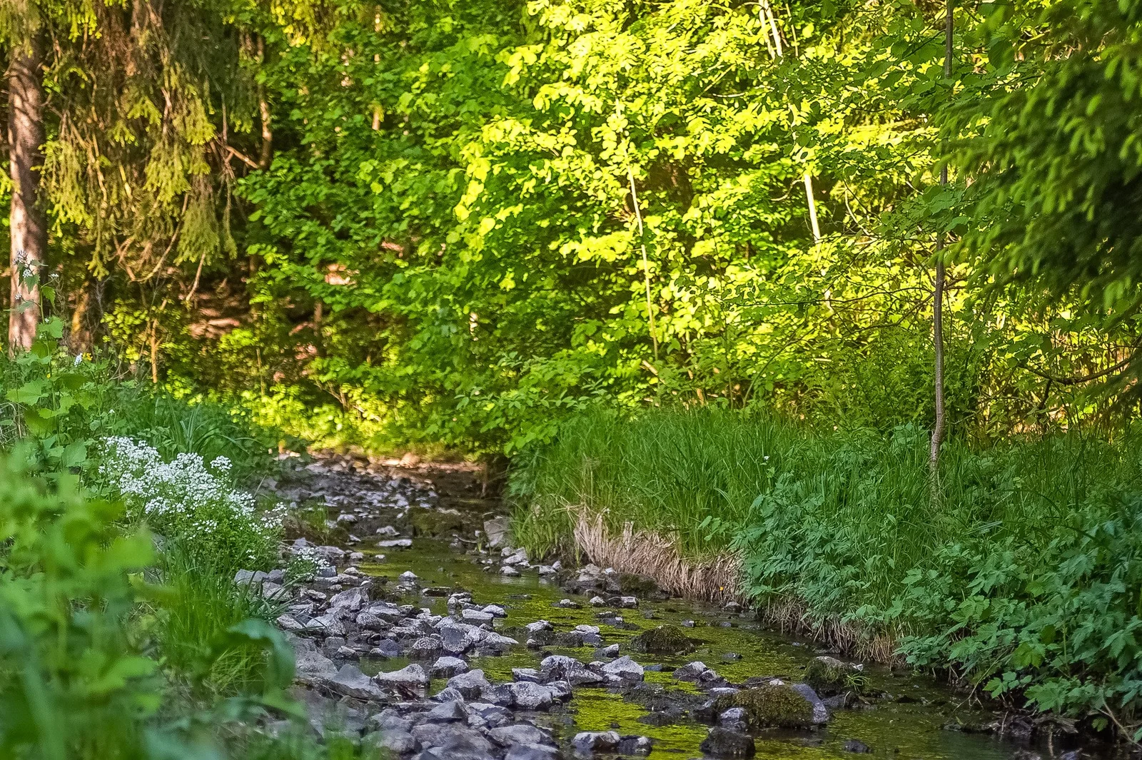 Photo 42