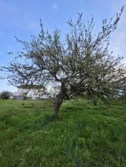 Photo 53