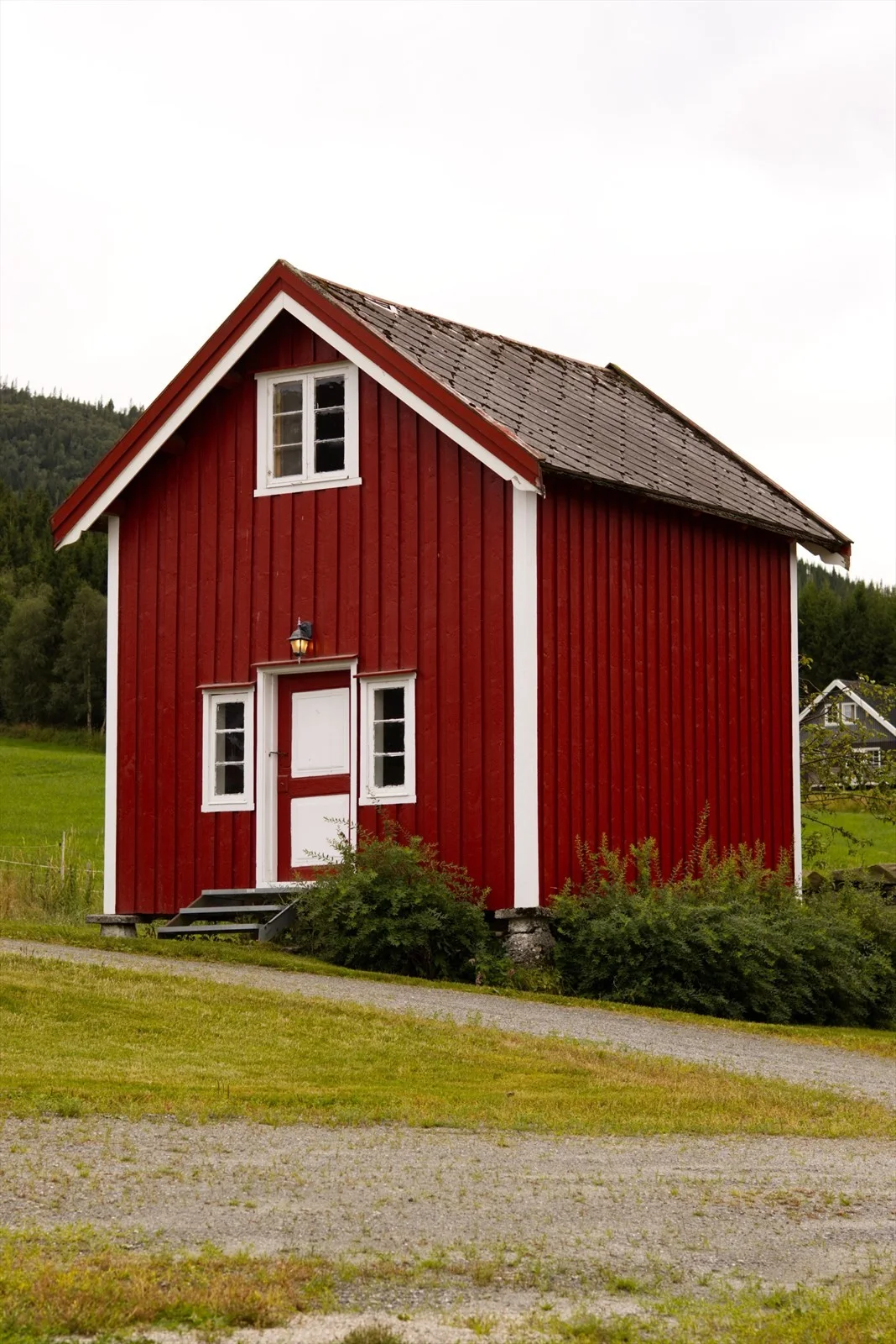 Photo 4