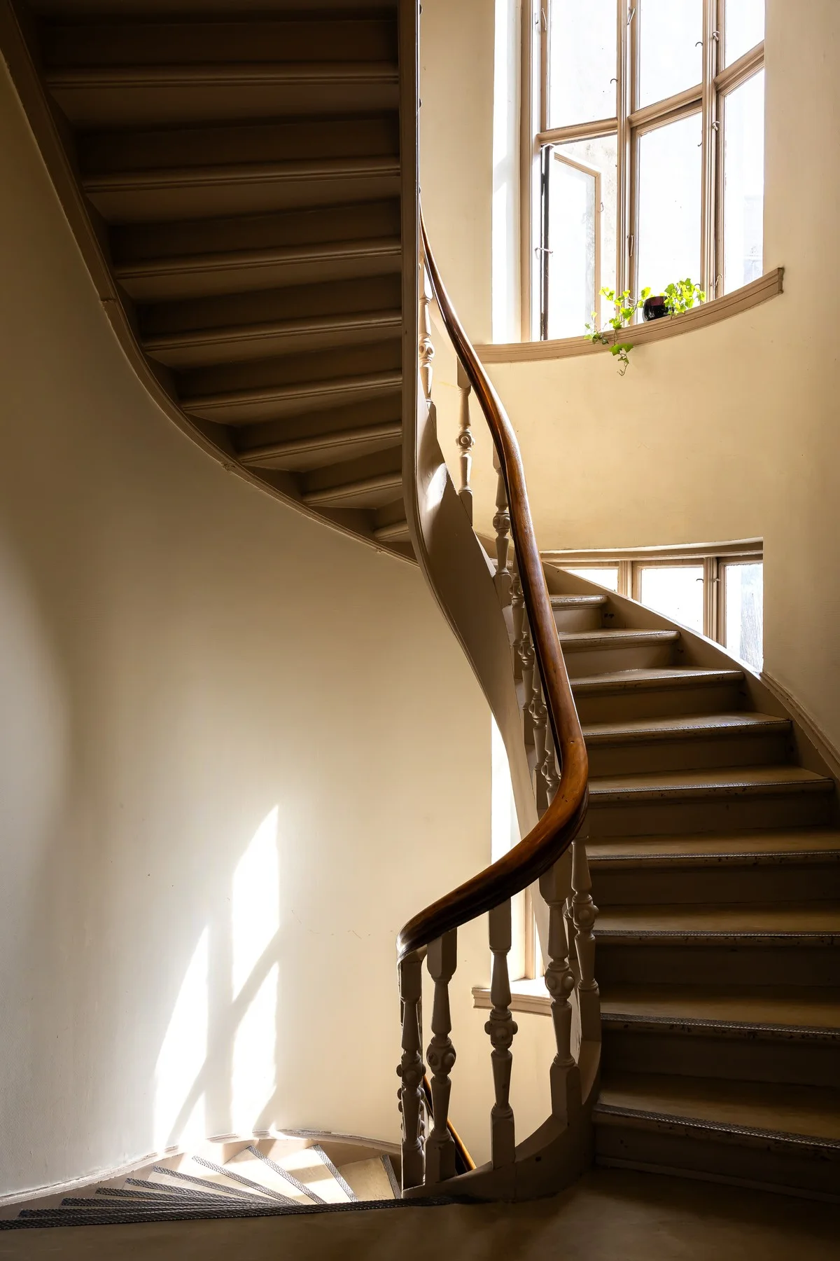 Photo 22