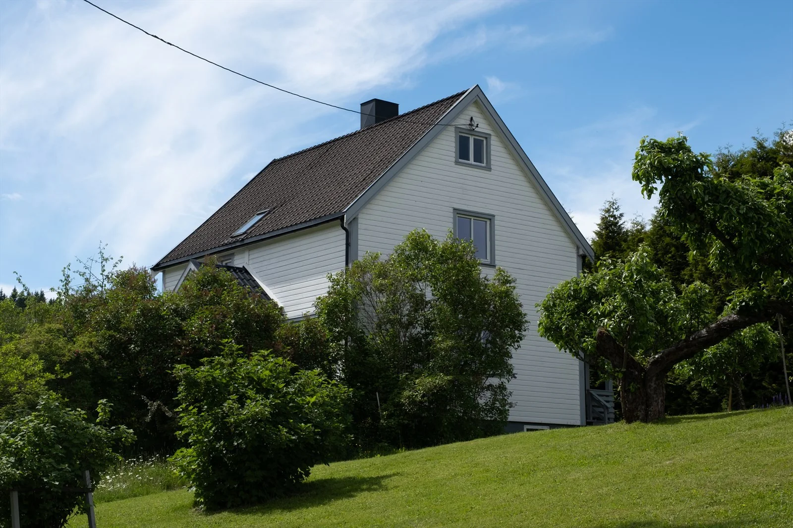 Photo 31