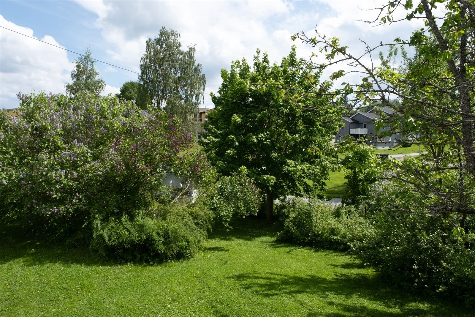 Photo 34
