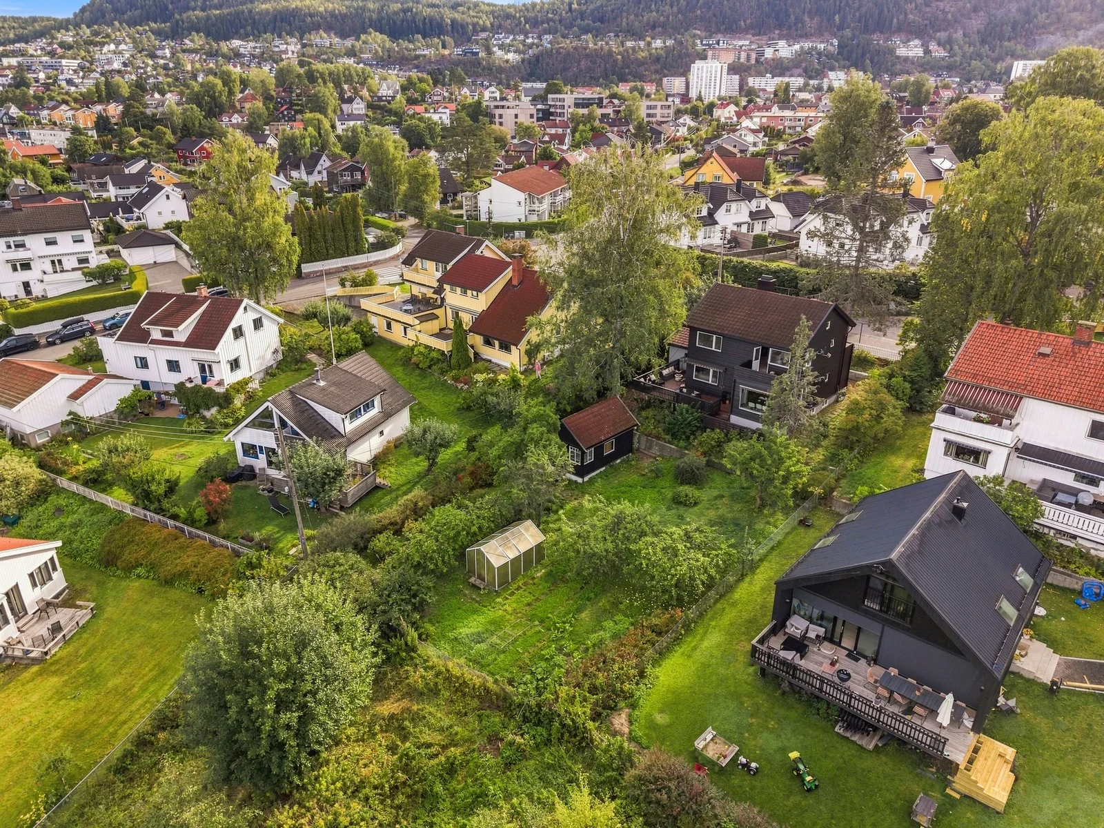 Photo 45