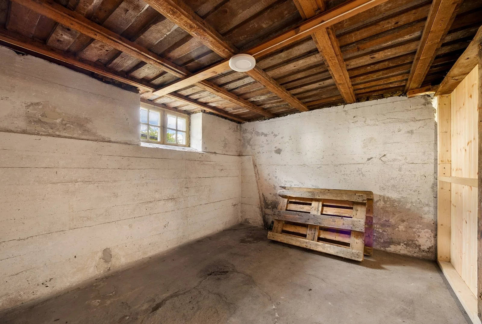 Photo 41