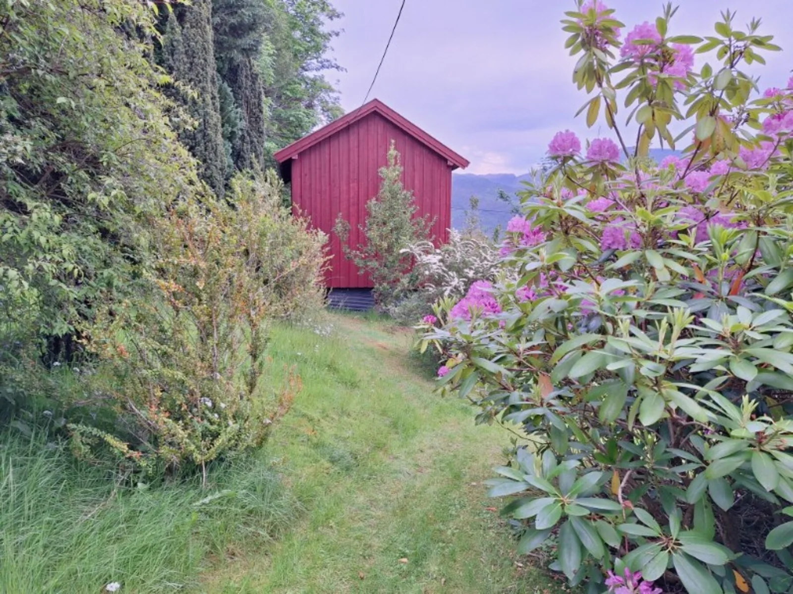 Photo 42