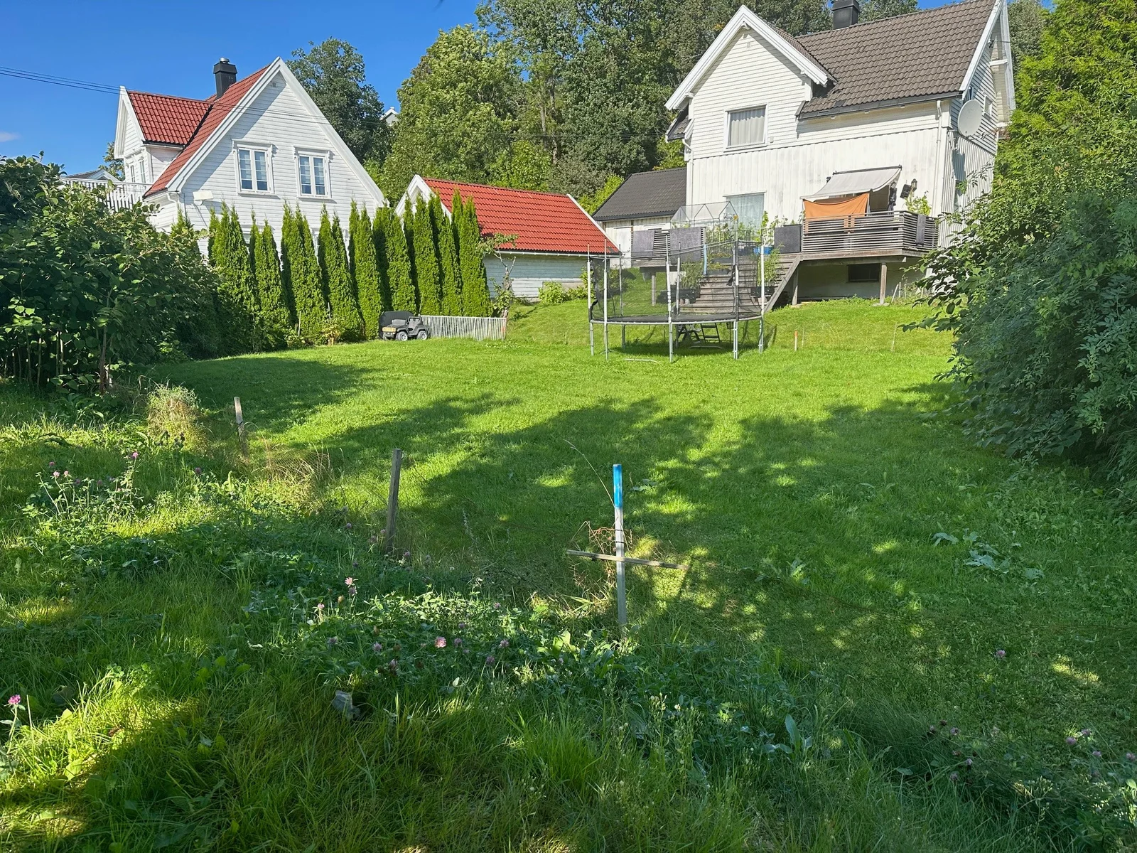 Photo 25