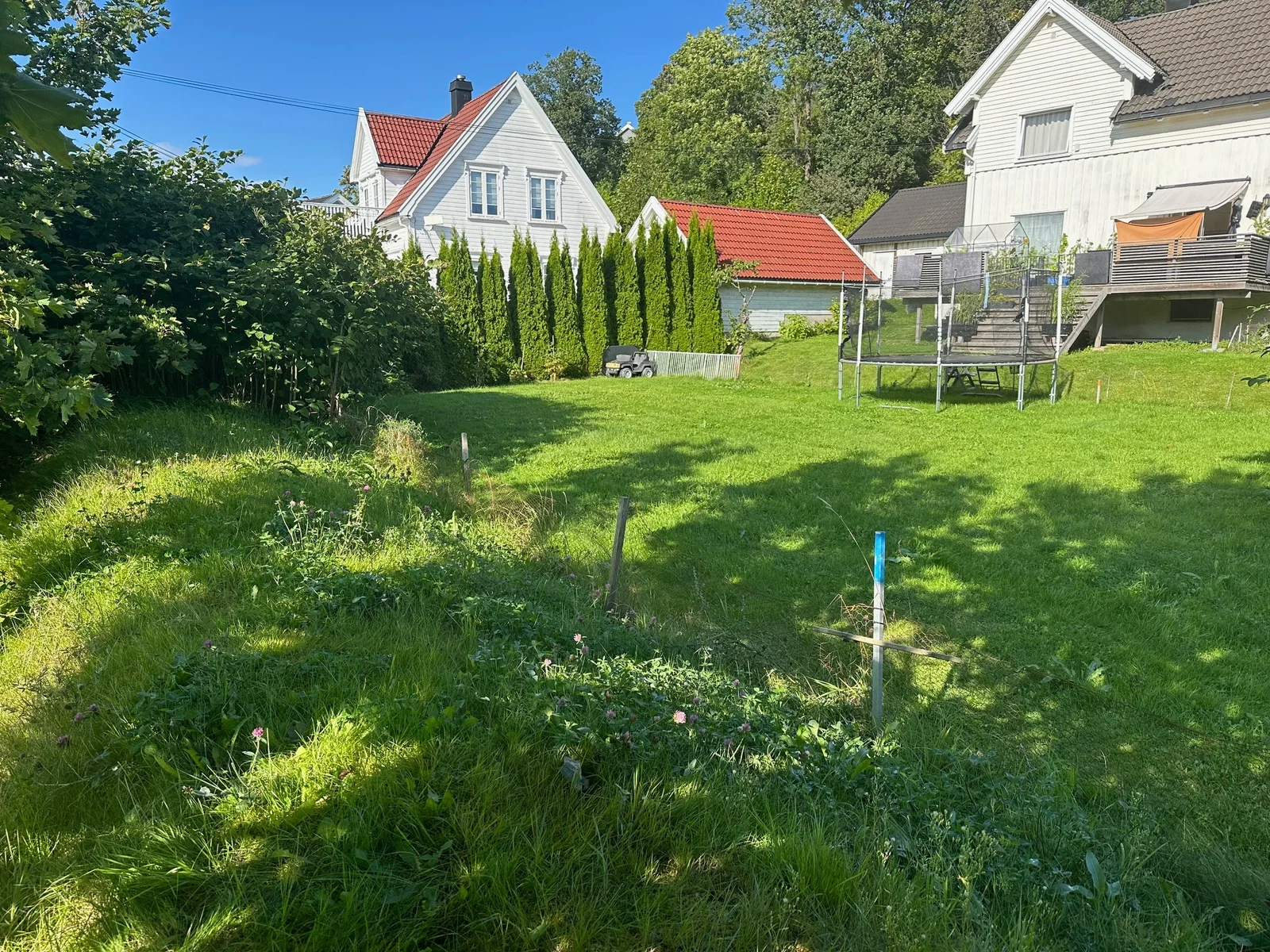 Photo 26