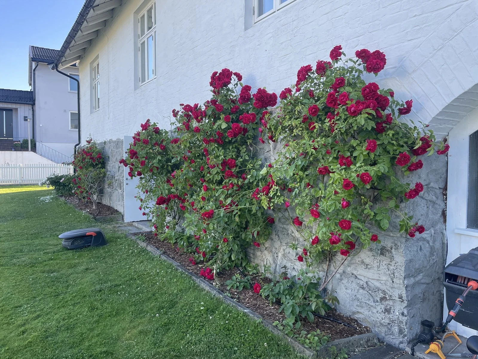 Photo 34