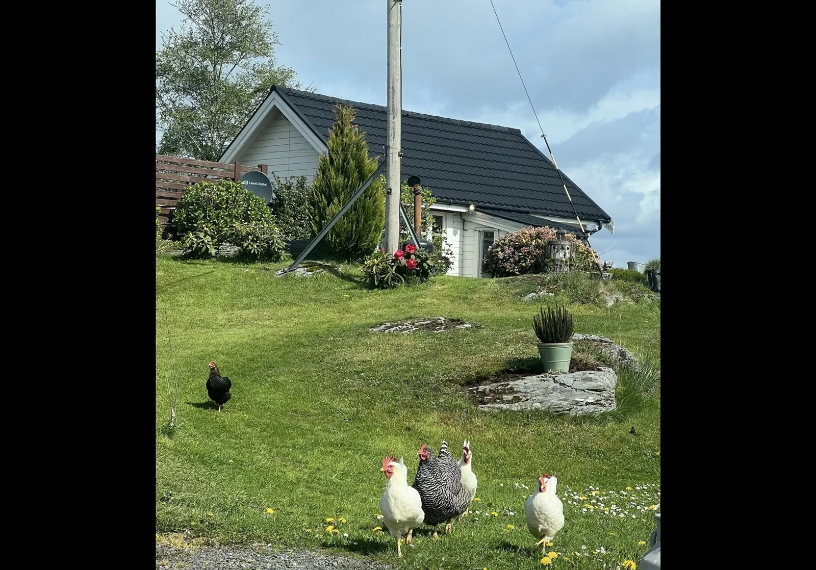 Photo 38