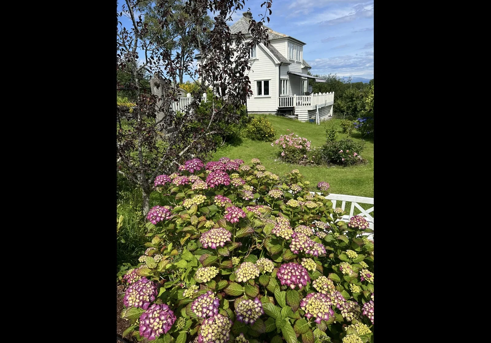 Photo 43