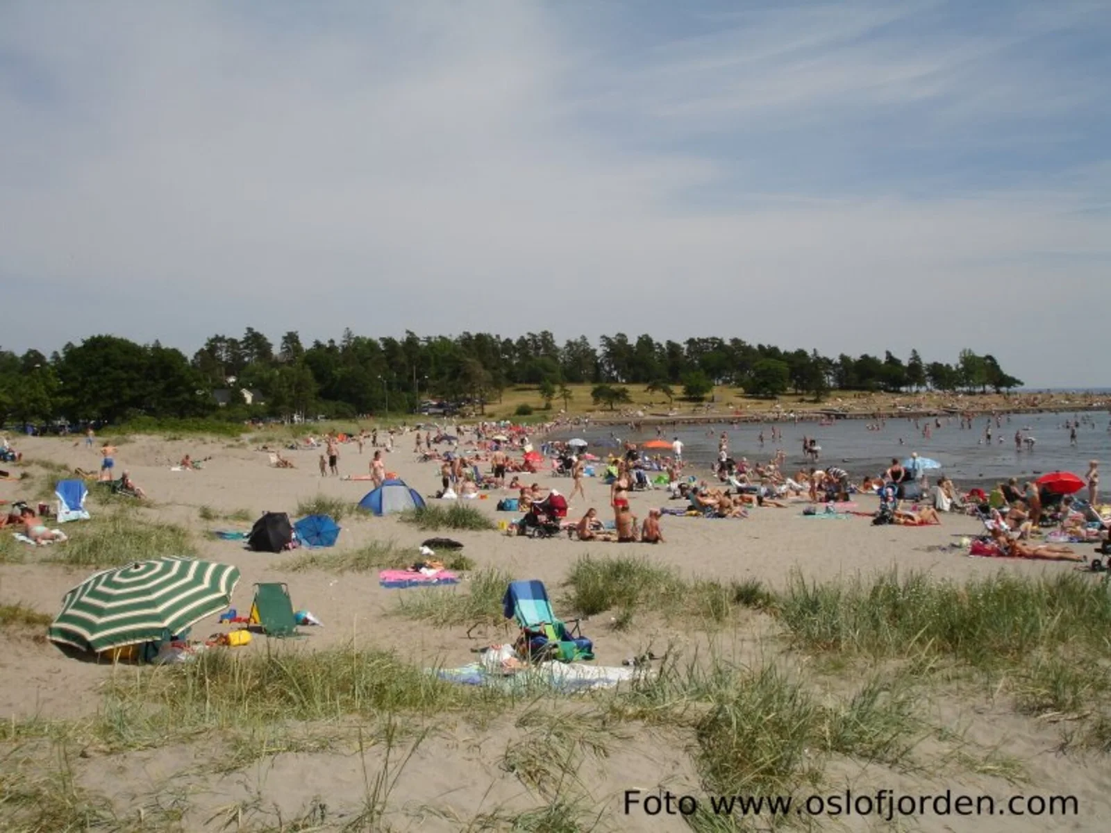 Photo 49