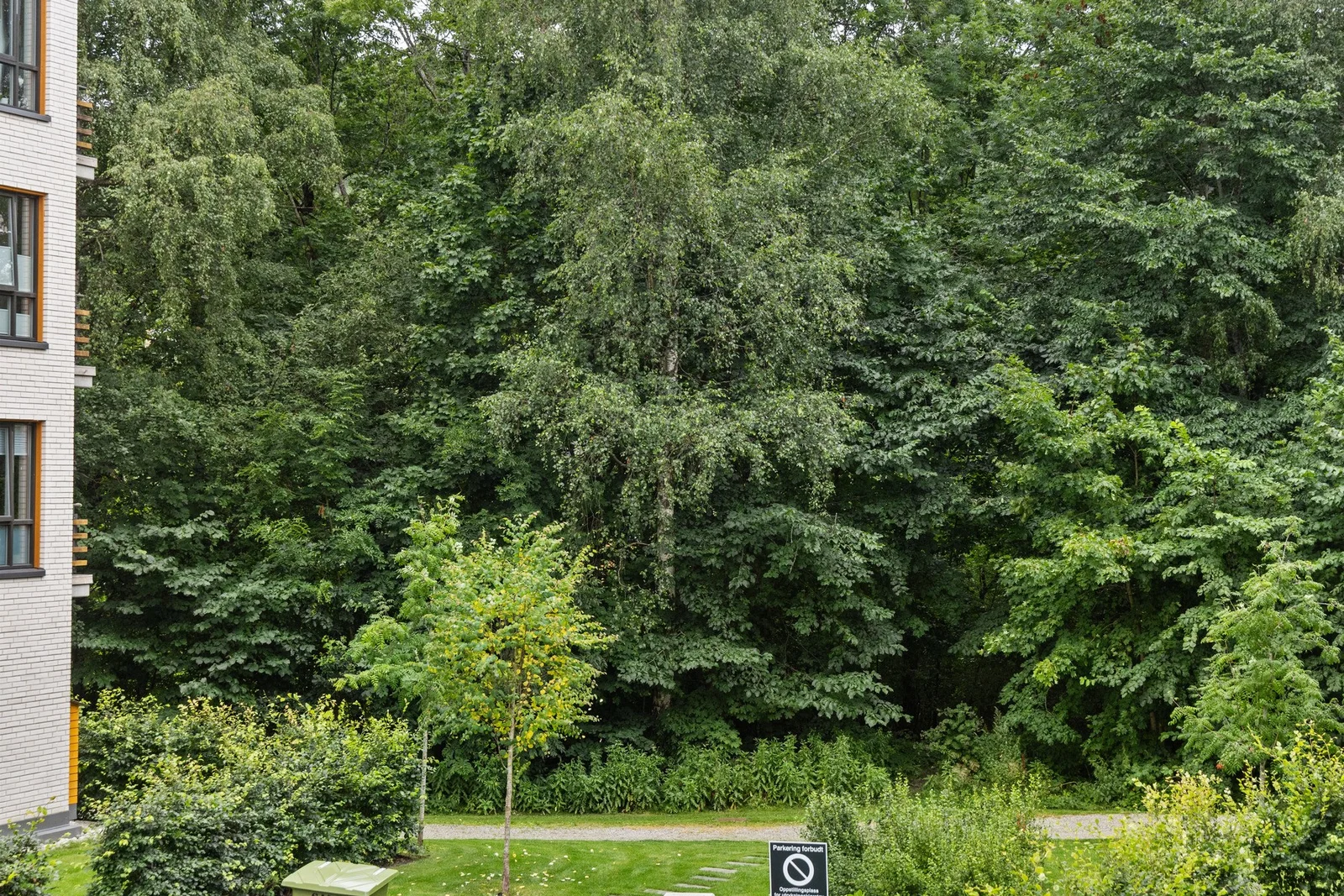 Photo 47