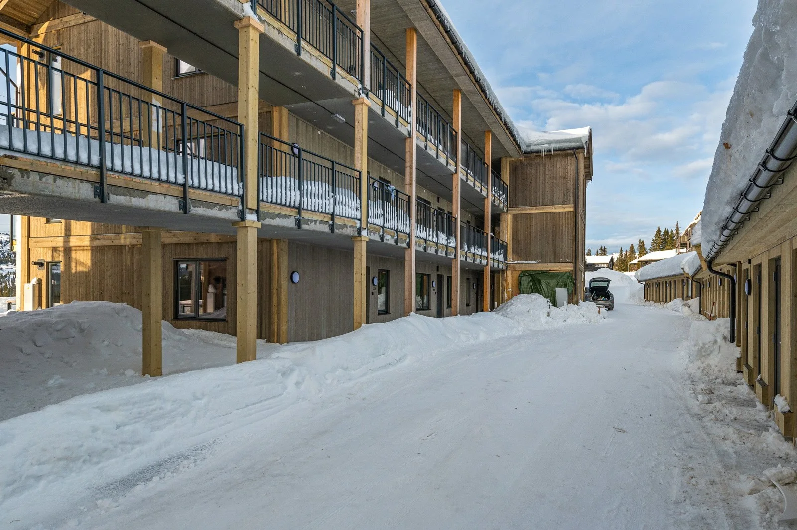 Photo 4