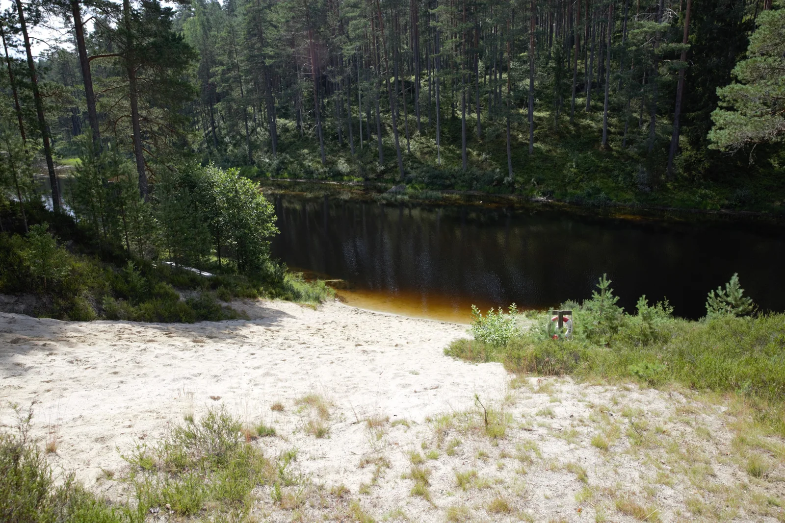 Photo 20