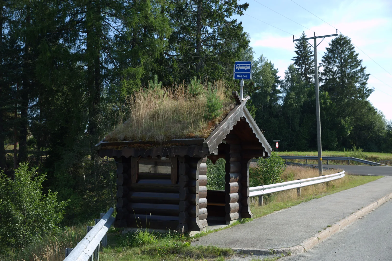 Photo 21