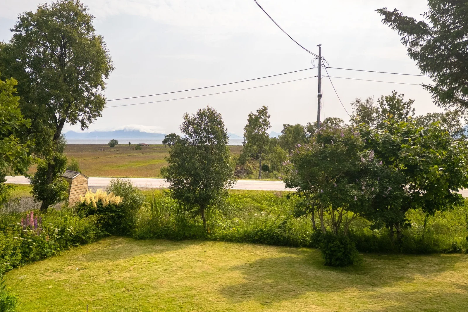 Photo 43