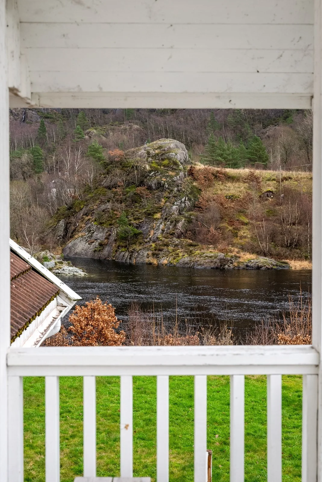 Photo 41