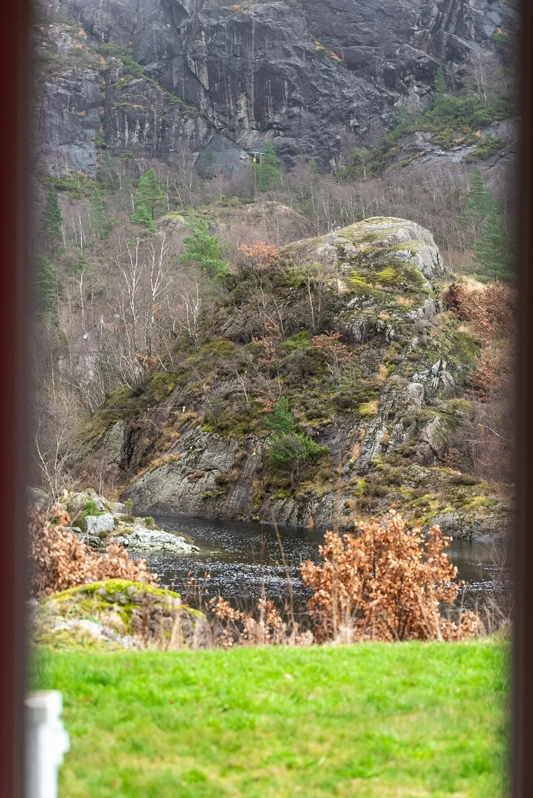 Photo 42