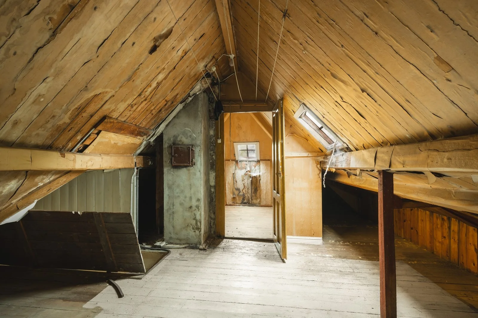 Photo 45