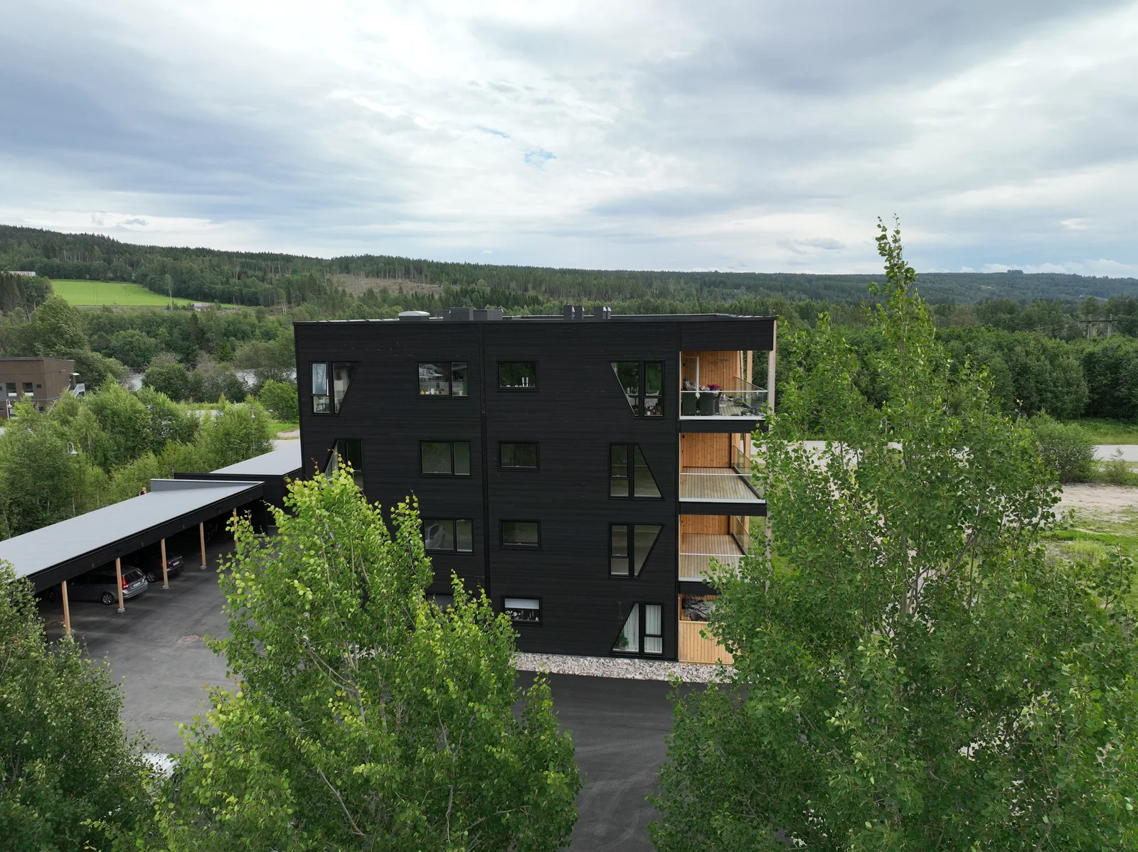 Photo 12