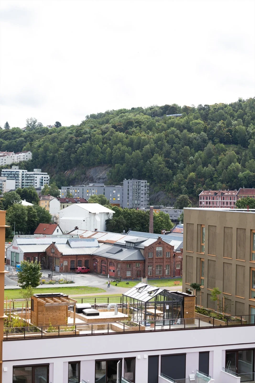 Photo 41