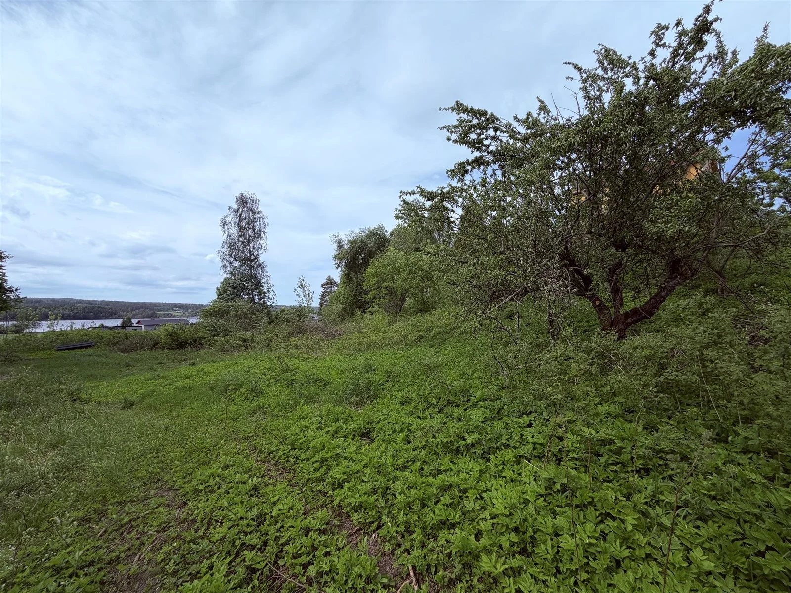 Photo 32