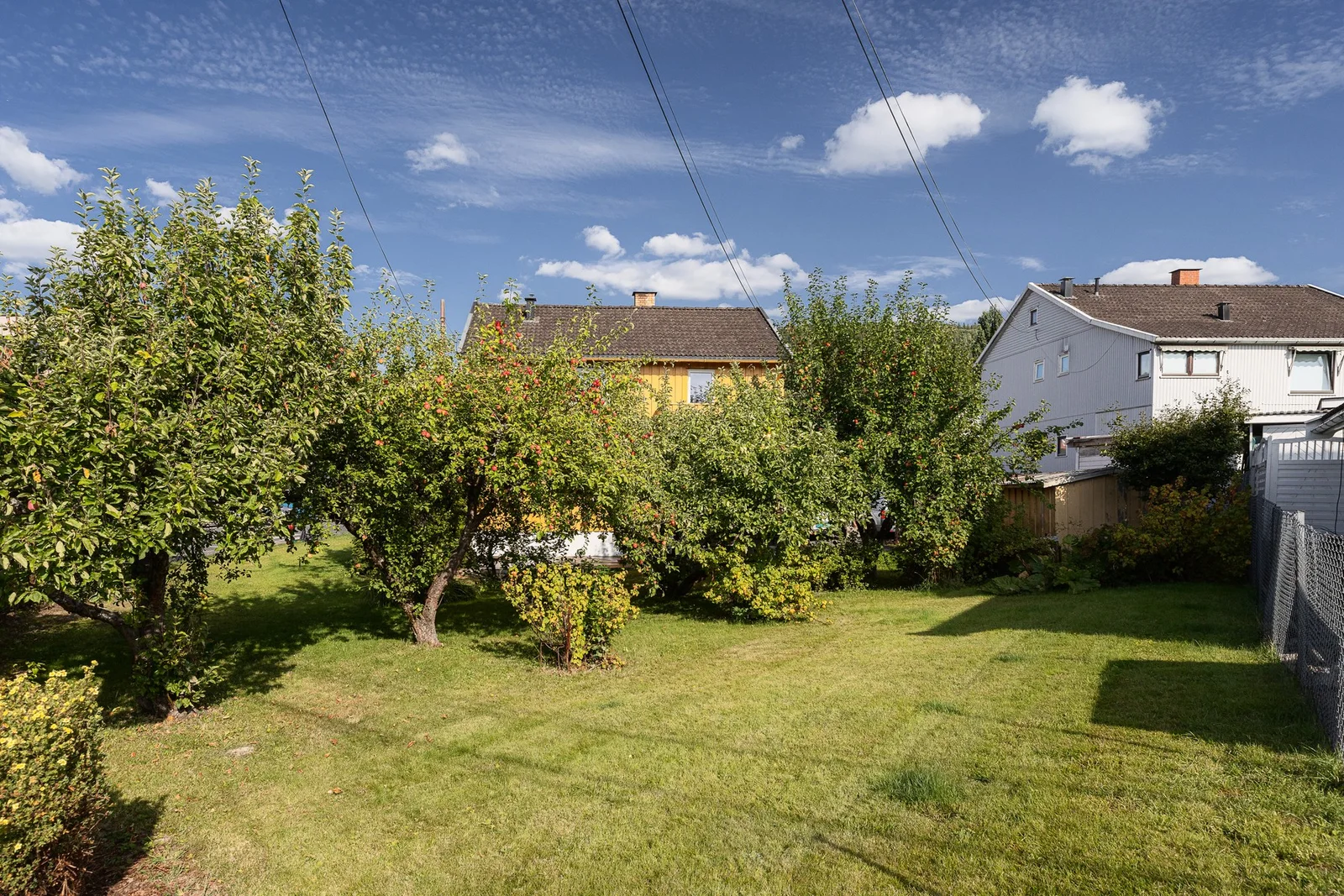 Photo 42