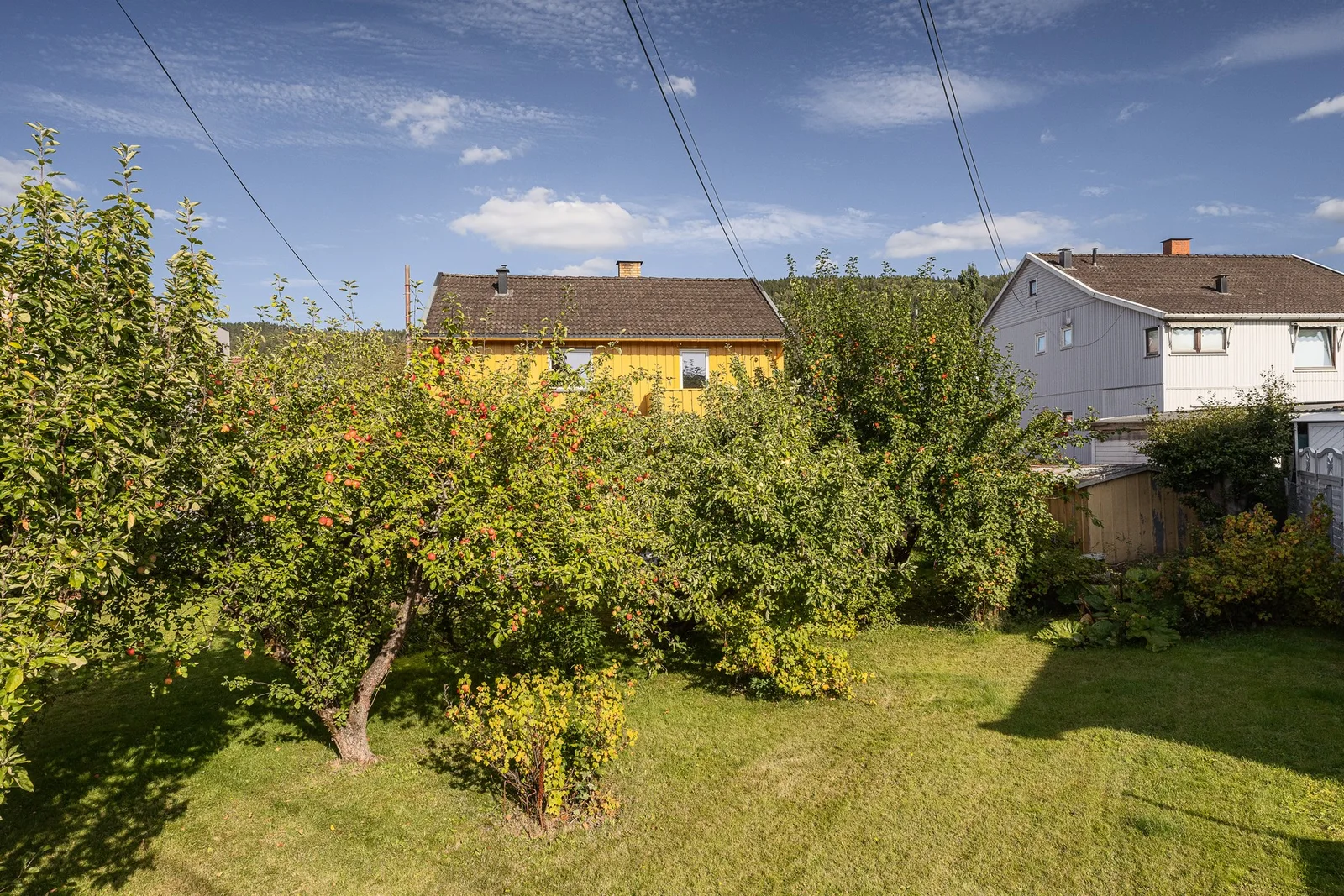 Photo 43