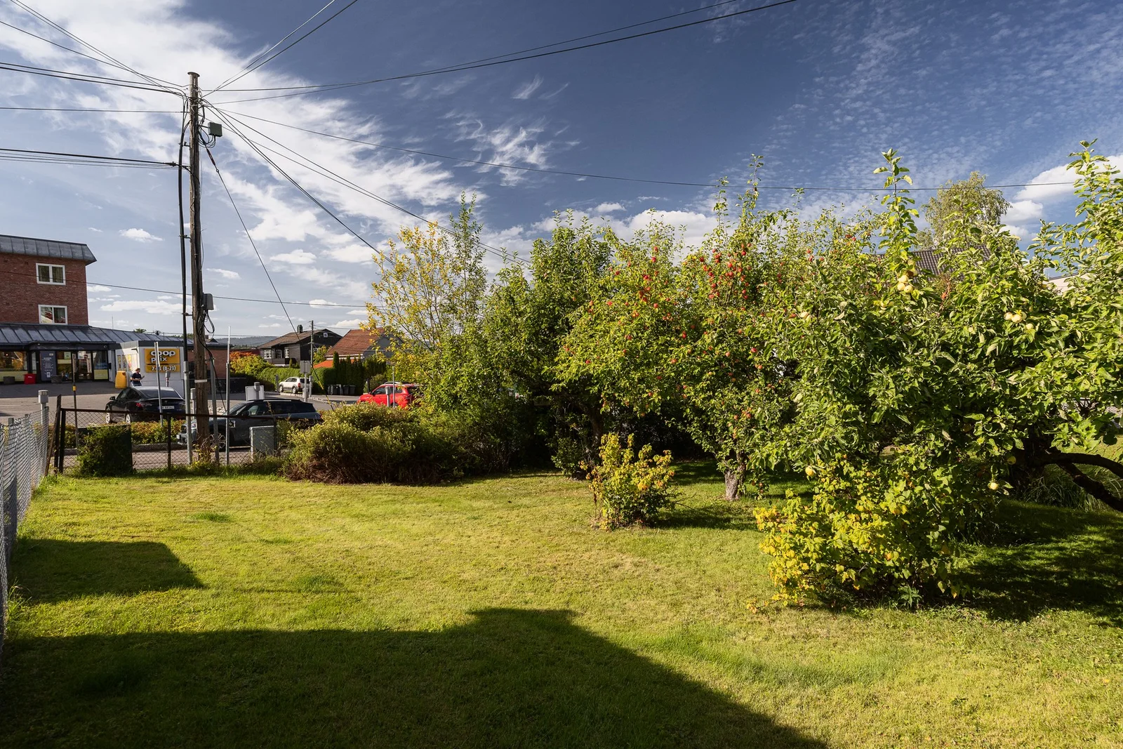 Photo 46