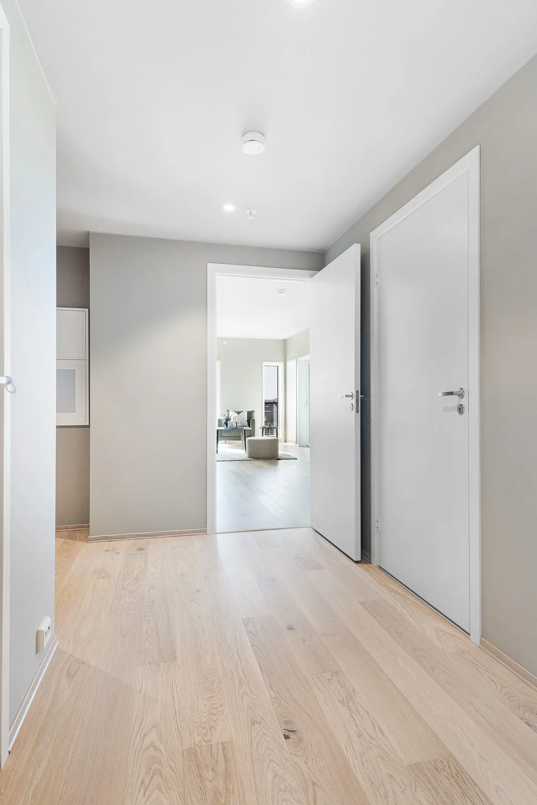 Photo 46