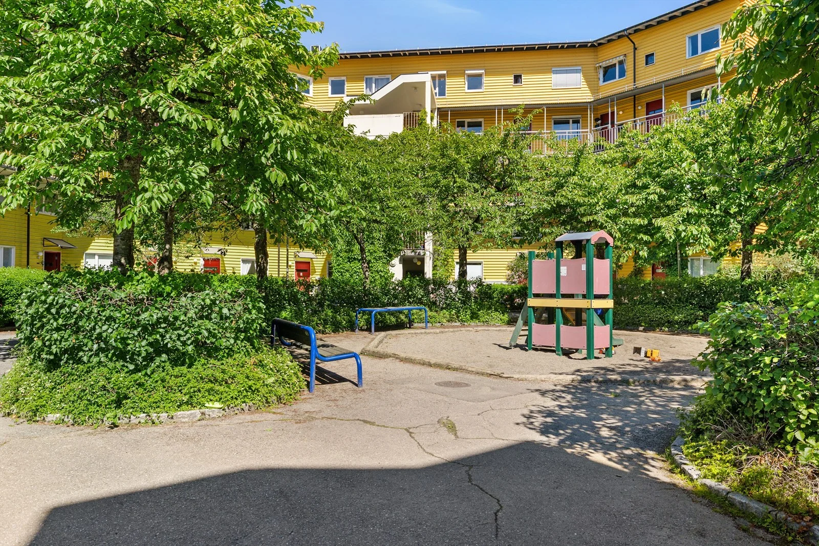 Photo 44