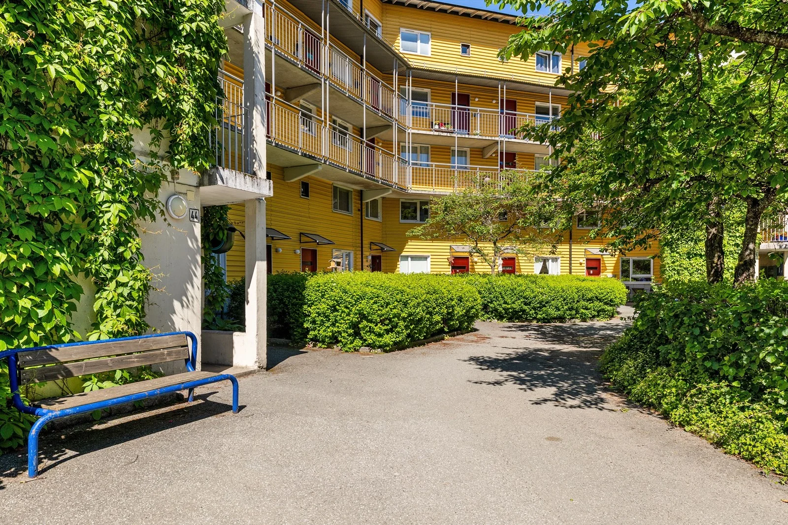Photo 45