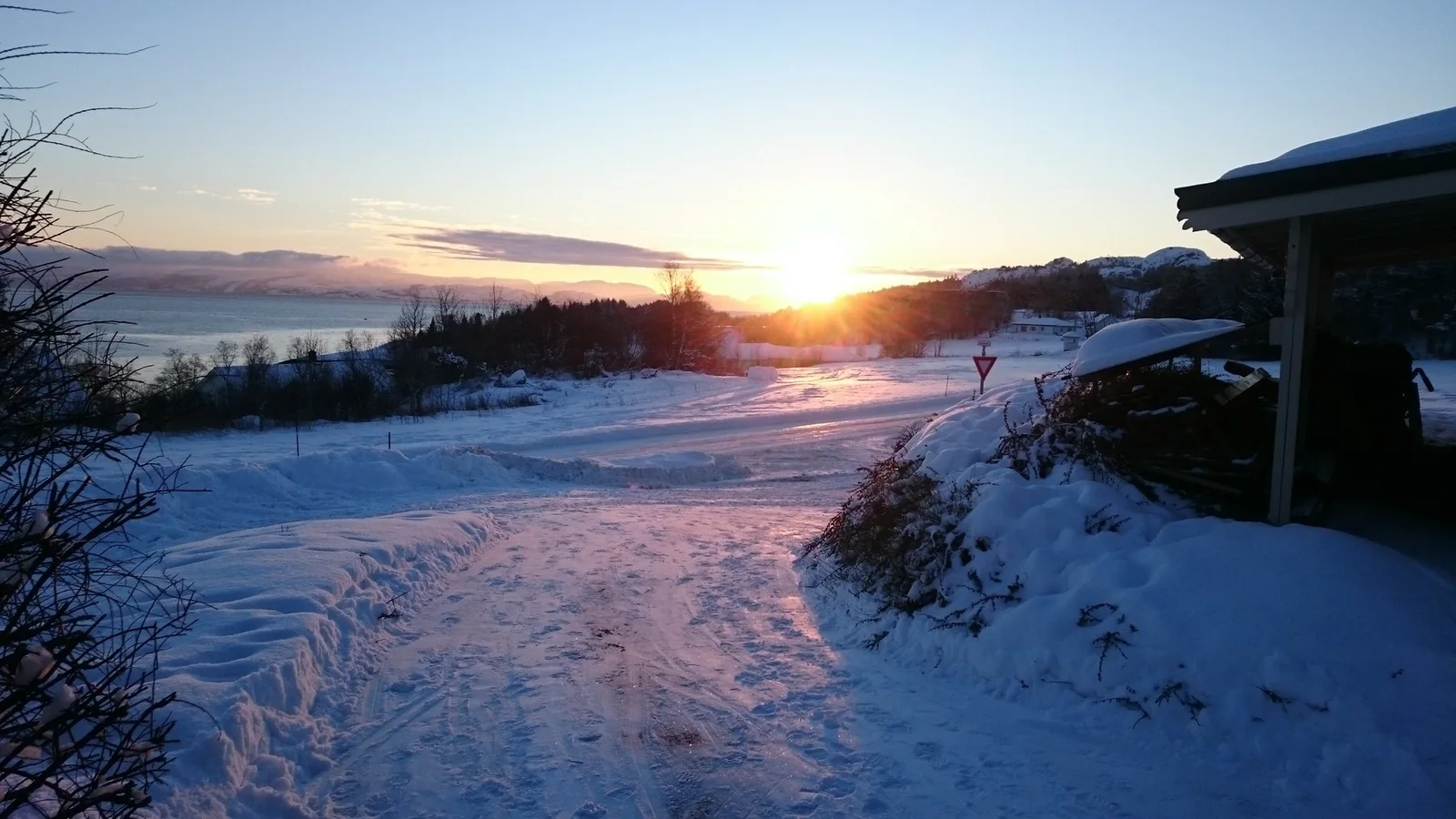 Photo 46