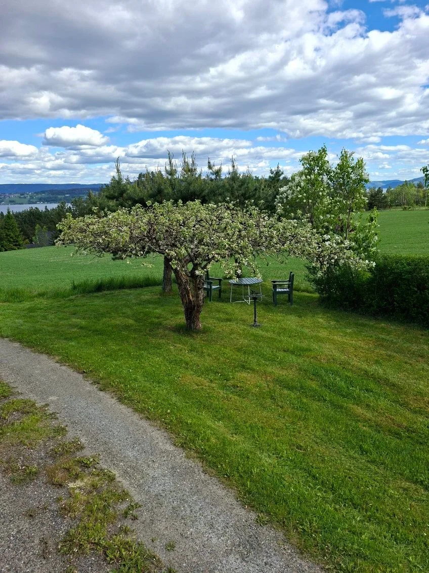 Photo 48