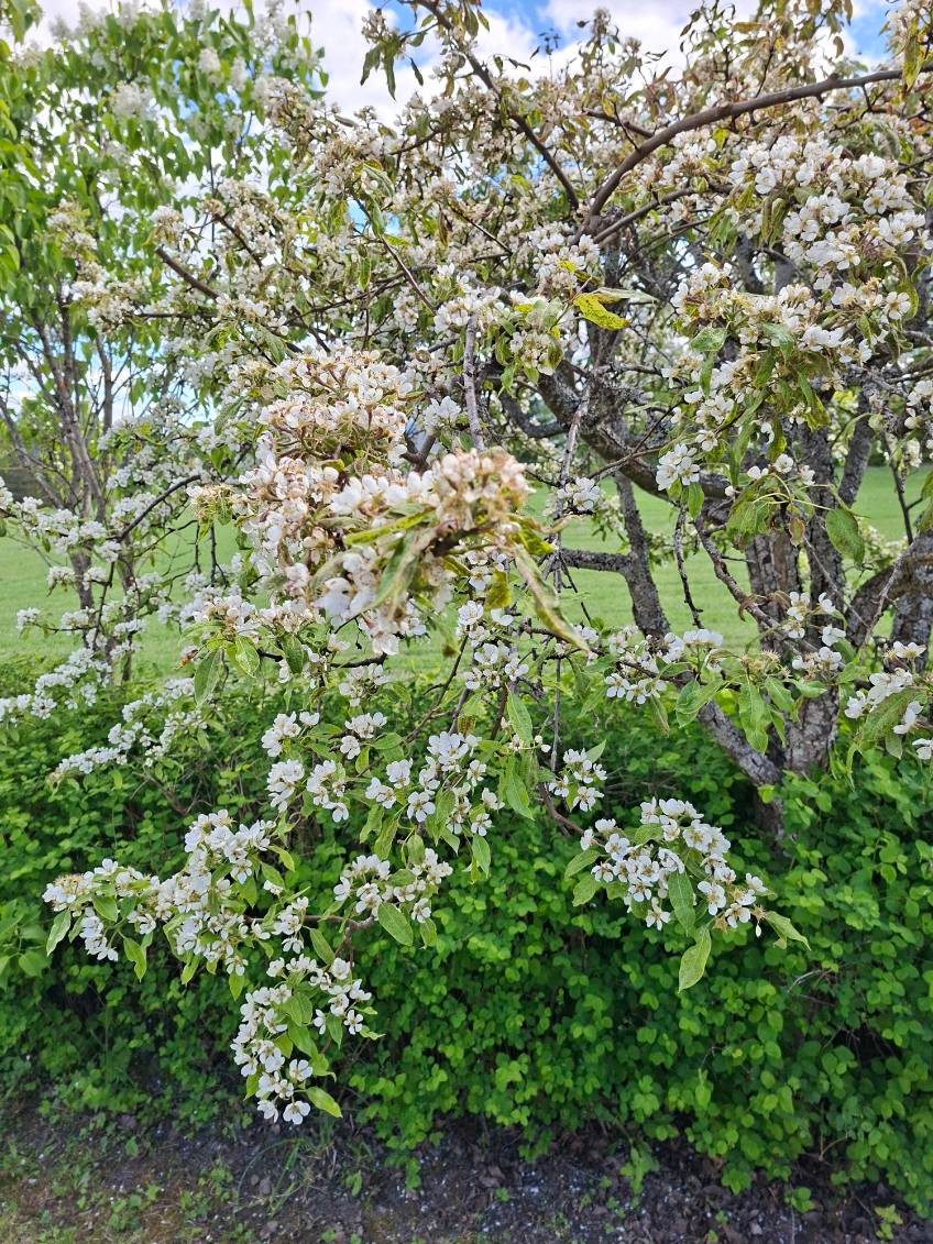Photo 49