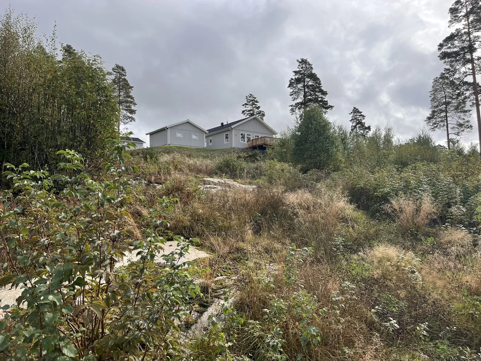 Photo 42