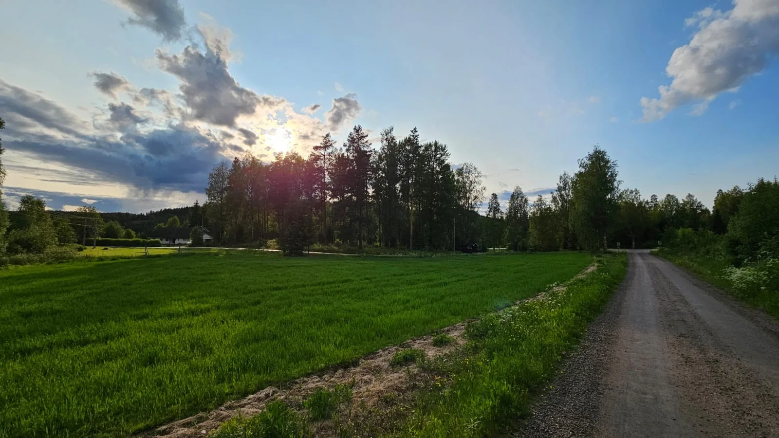 Photo 39