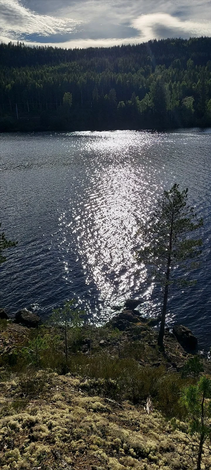 Photo 48